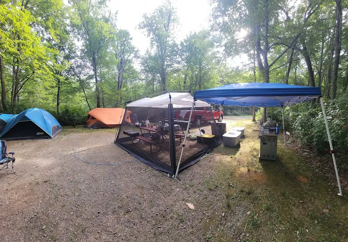 Pines Camping Area Picture 5