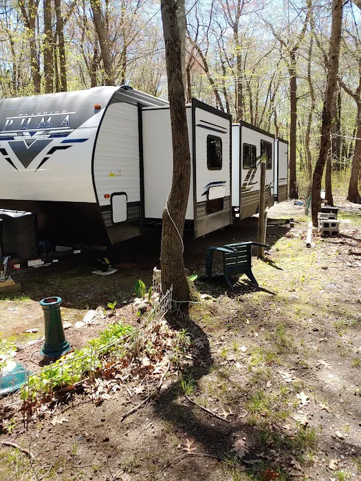 Pines Camping Area Picture 10