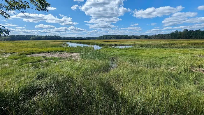 Tidewater Campground Picture 1