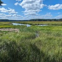 Tidewater Campground ico