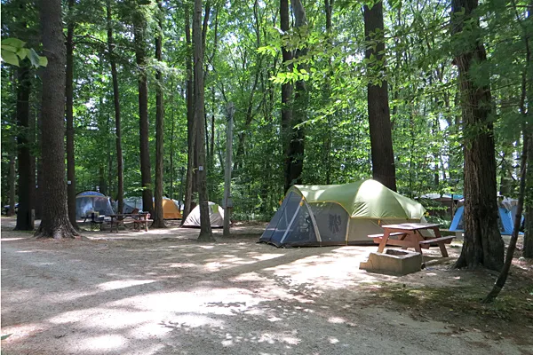 Tidewater Campground Picture 6