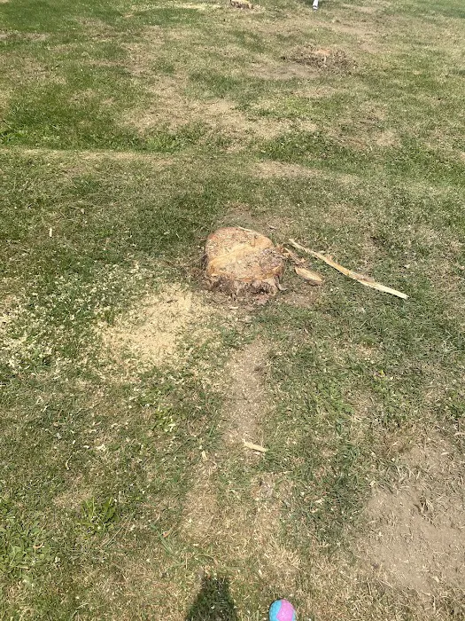 Homestead Mobile Home Park Picture 4