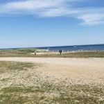 Williams Mobile Home Park