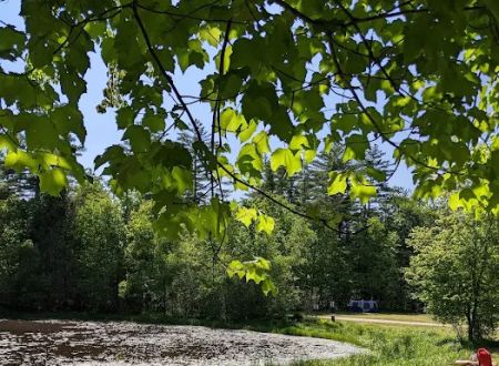 Old Stage Campground