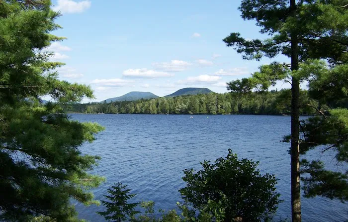Forked Lake Site 52 Picture 1