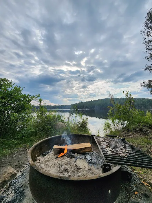 Forked Lake Campground Picture 1