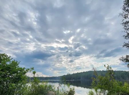 Forked Lake Campground