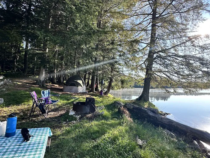Forked Lake Campground Picture 6