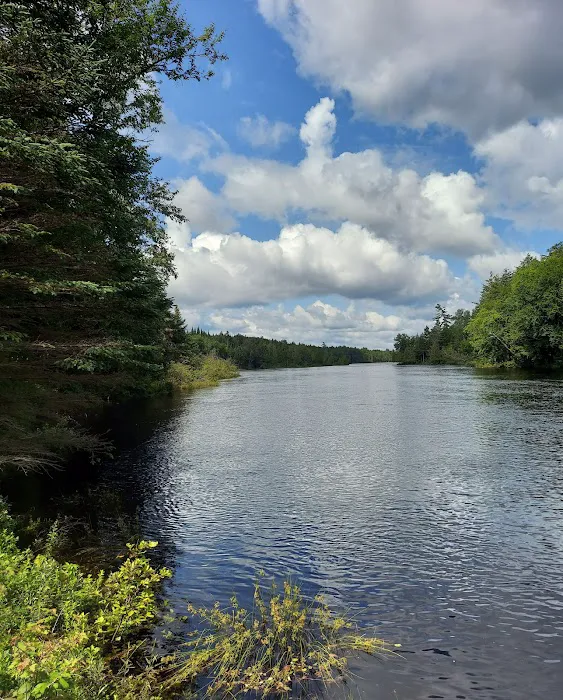 Forked Lake Campground Picture 5