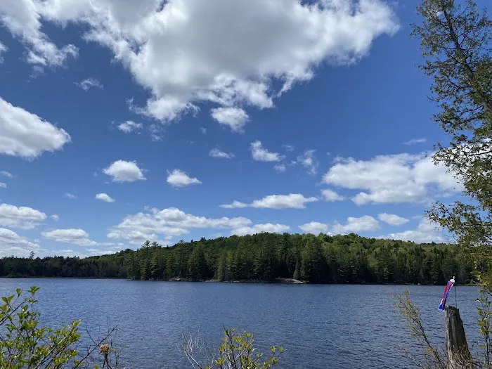 Forked Lake Campground Picture 4