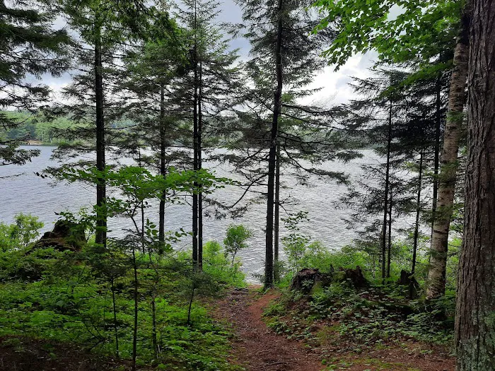 Forked Lake Campground Picture 9