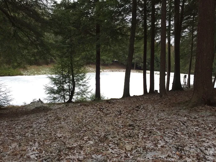 Lauder Family Campground Picture 2