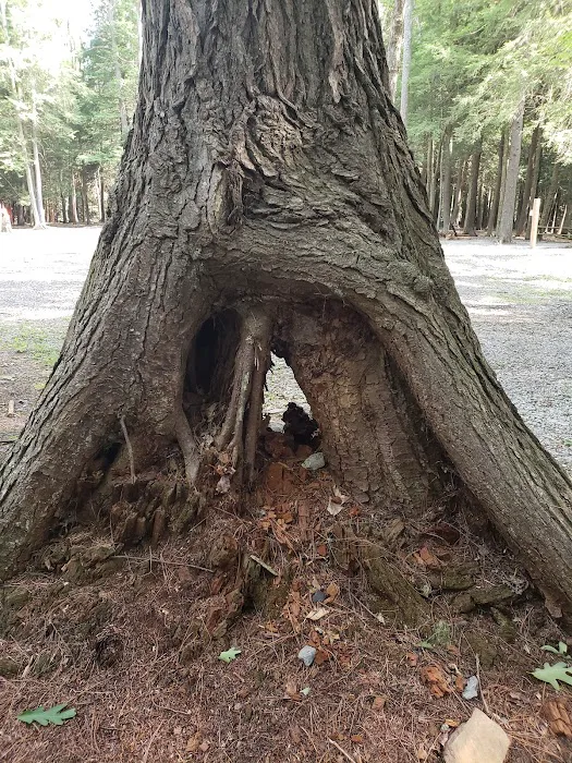 Lauder Family Campground Picture 4