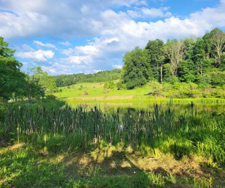 Sunset Vue Campground