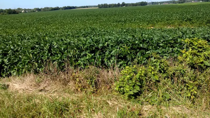 Westerville Estates Picture 3
