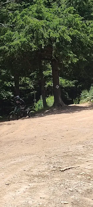 Majestic Kamp & Lost Trails Camp ground Picture 5