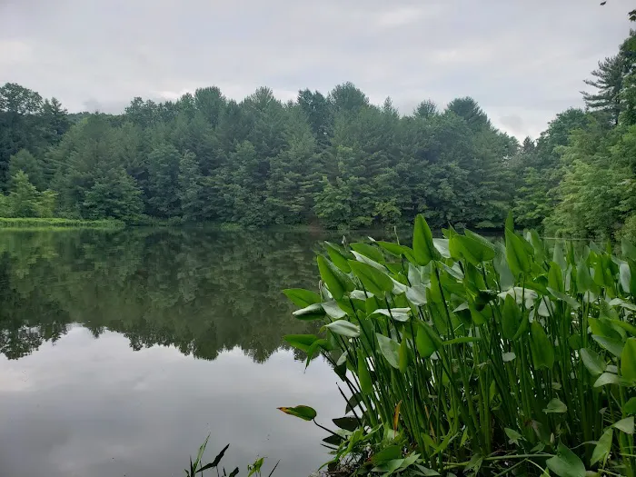 Woodland Campground Picture 5