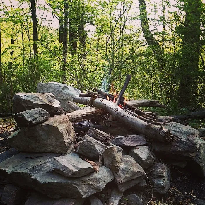 Pogo Memorial Campsite Picture 2