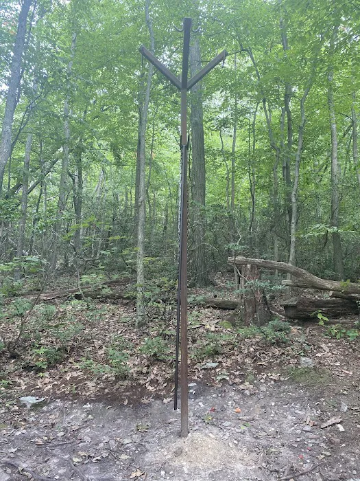 Pogo Memorial Campsite Picture 7