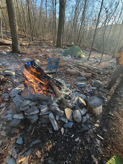 Pogo Memorial Campsite Picture 6