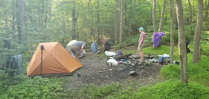 Pogo Memorial Campsite Picture 8