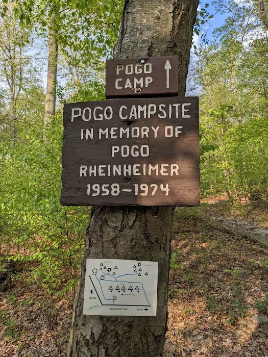 Pogo Memorial Campsite Picture 4