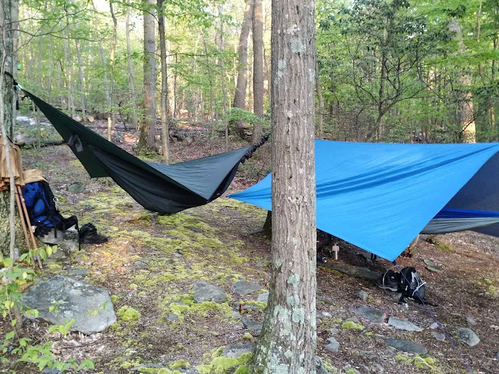 Pogo Memorial Campsite Picture 10