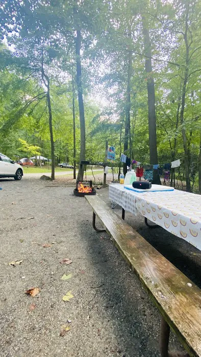 Ash Campground Picture 7