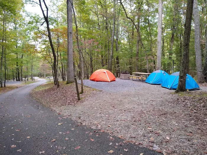 Ash Campground Picture 1