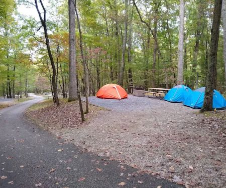 Ash Campground