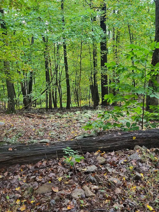 Cedar Campground Picture 5