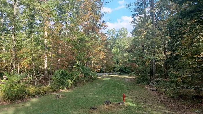 Dogwood Campground Picture 7