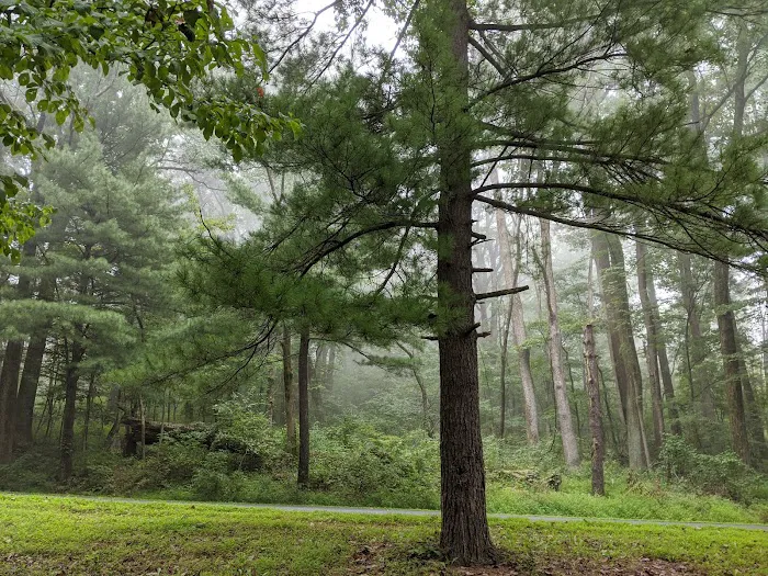Rock Run Campground Picture 7