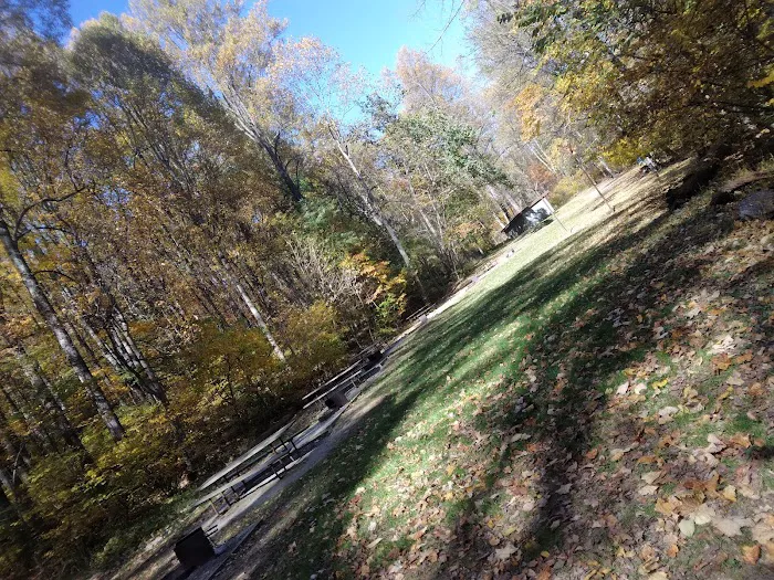 Dahlgren Backpacker Campground Picture 10