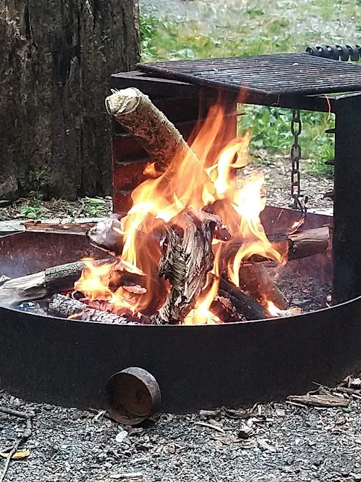 Dahlgren Backpacker Campground Picture 3