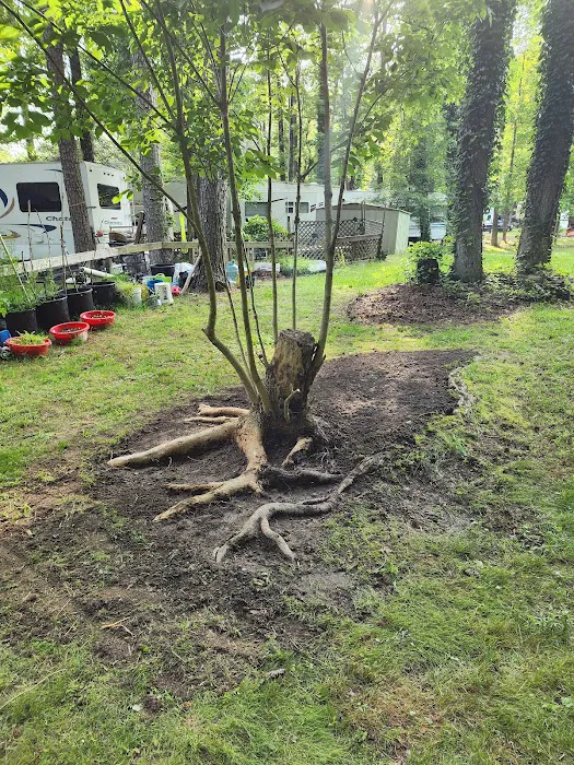 Big Timber Campground Picture 3