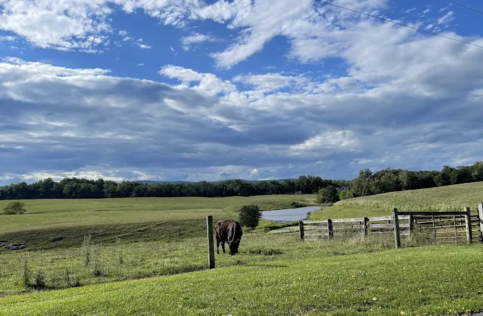 Greenville Farm Family Campground, Inc. Picture 7