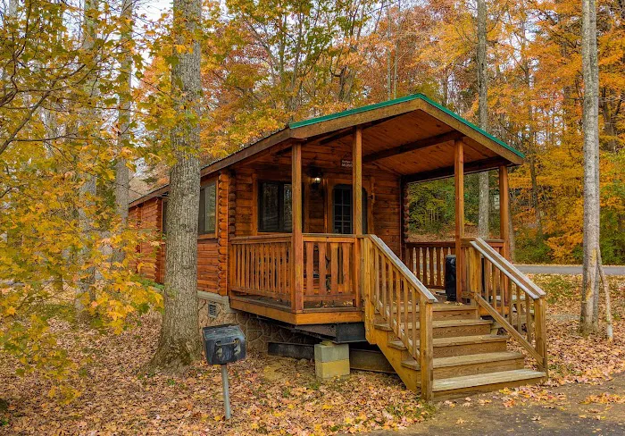 Wilderness Presidential Resort Picture 5