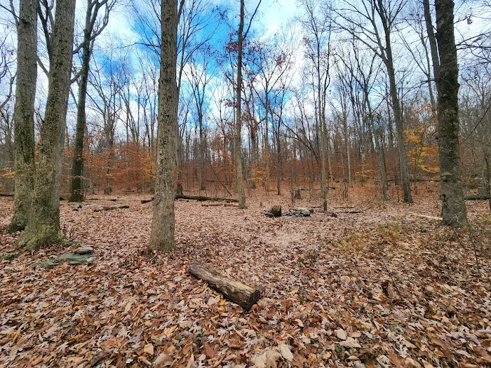 Crampton Gap Campsite Picture 1