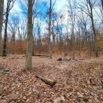 Crampton Gap Campsite