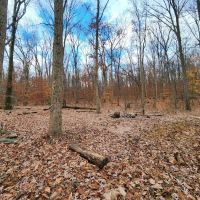 Crampton Gap Campsite ico