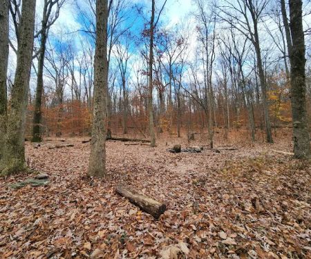 Crampton Gap Campsite