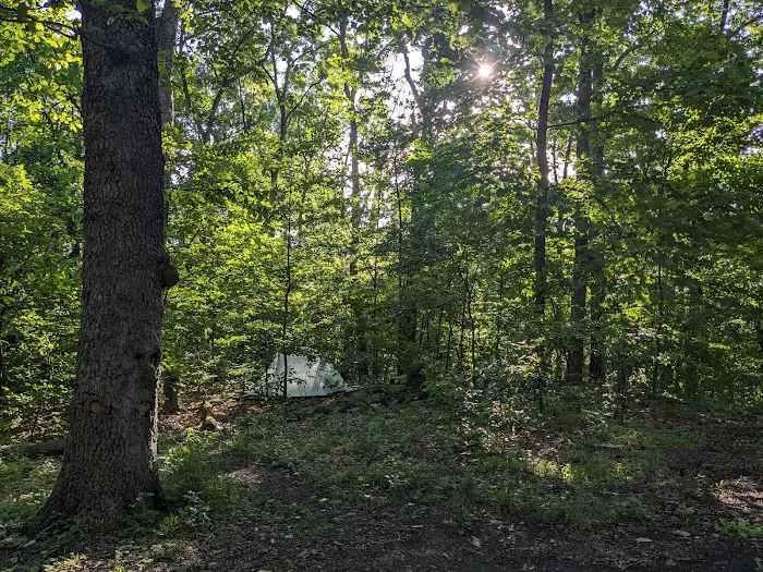 Crampton Gap Campsite Picture 7