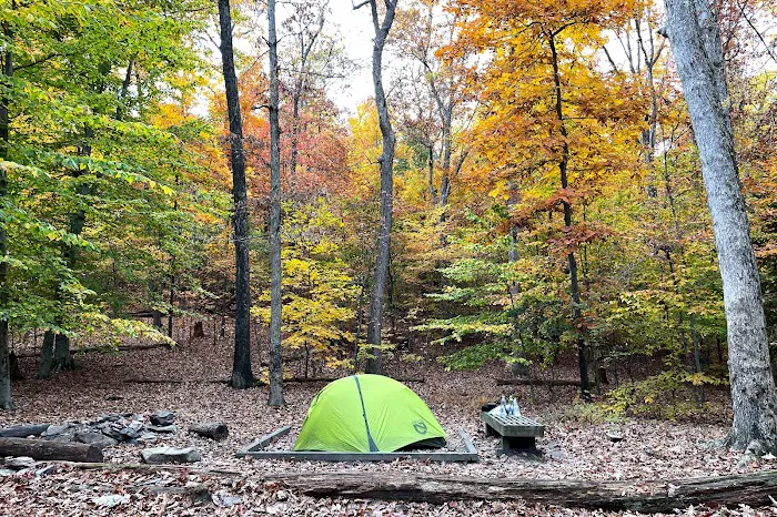 Crampton Gap Campsite Picture 2
