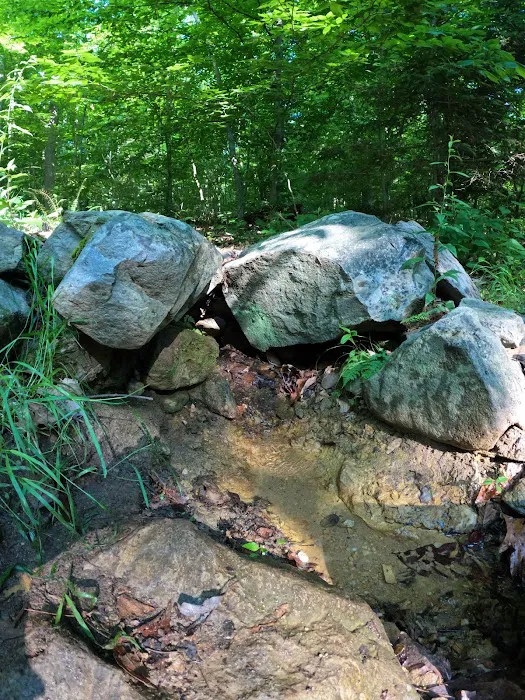 Crampton Gap Campsite Picture 5