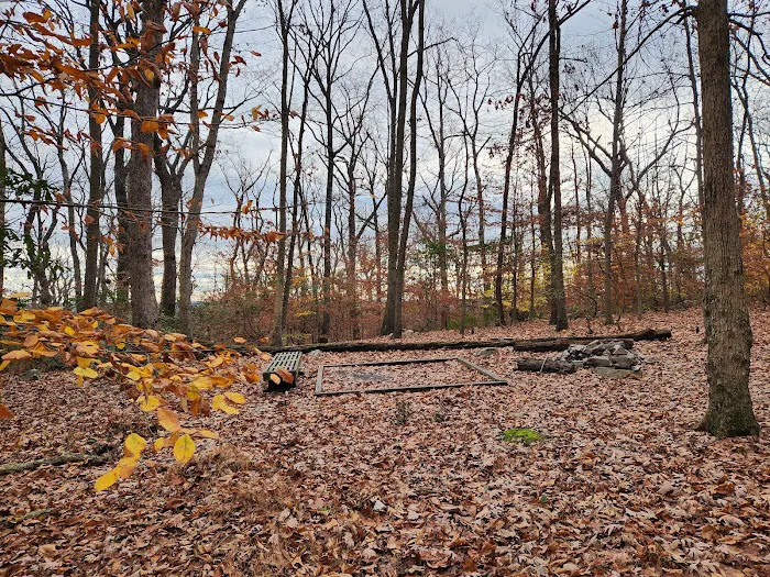 Crampton Gap Campsite Picture 8