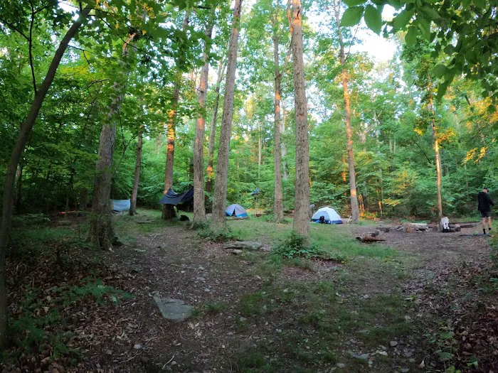 Crampton Gap Campsite Picture 4