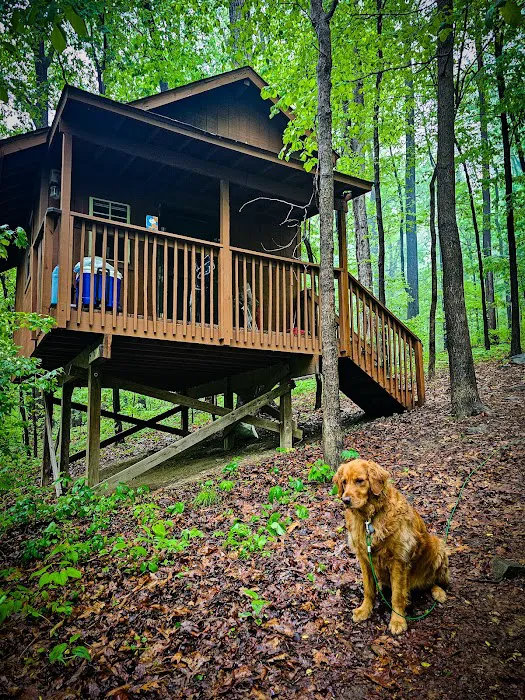 The Treehouse Camp At Maple Tree LLC Picture 9