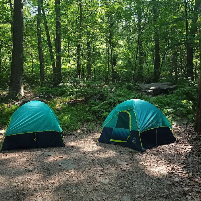 The Treehouse Camp At Maple Tree LLC Picture 4