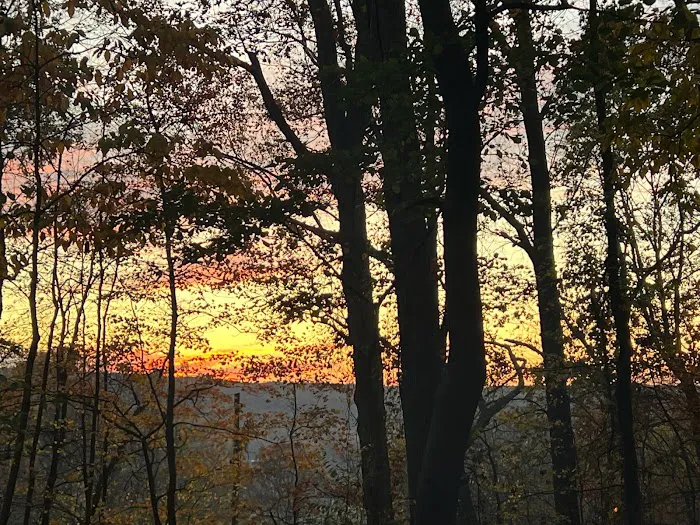 The Treehouse Camp At Maple Tree LLC Picture 10